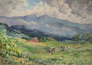 F48 Paturage et montagne